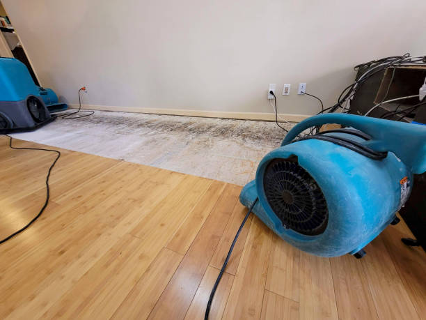 Professional Water Damage Repair technician working in Salome, AZ
